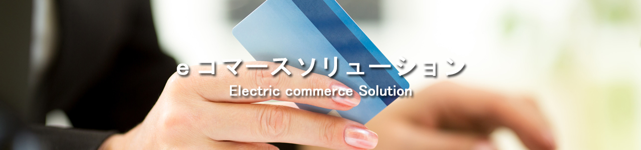 正興ITソリューション eコマースソリューション